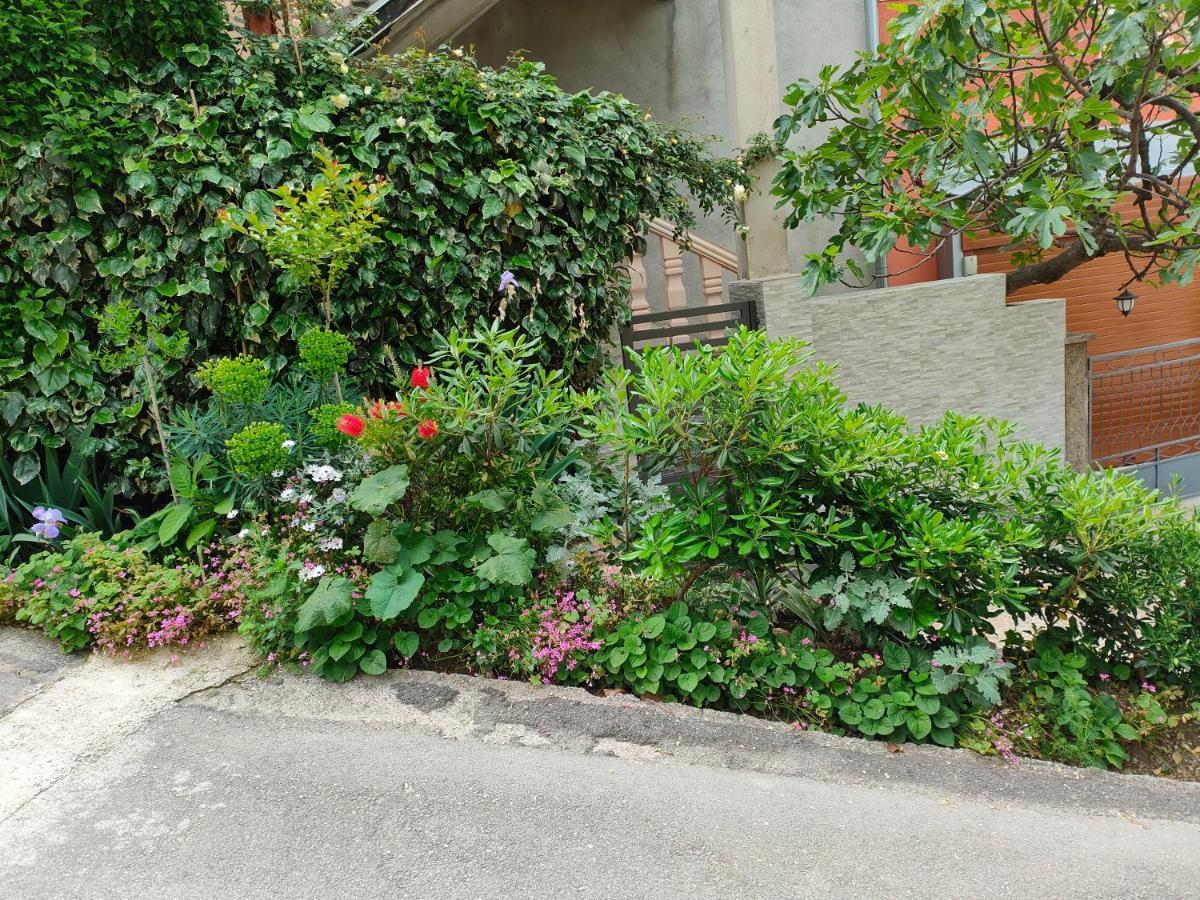 Studio Apartman Rea 코토르 외부 사진